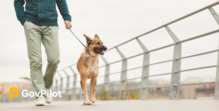 post A Guide To Becoming A More Walkable City: 15 Minute City Insights